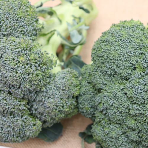 Broccoli 'Marathon'