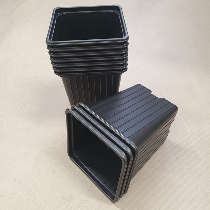 Firkantet plasticpotte - 9x9x9,5 cm - 10 stk. - Frøsnapperen.dk