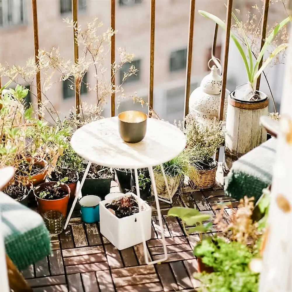 Frø til altan og terrasse