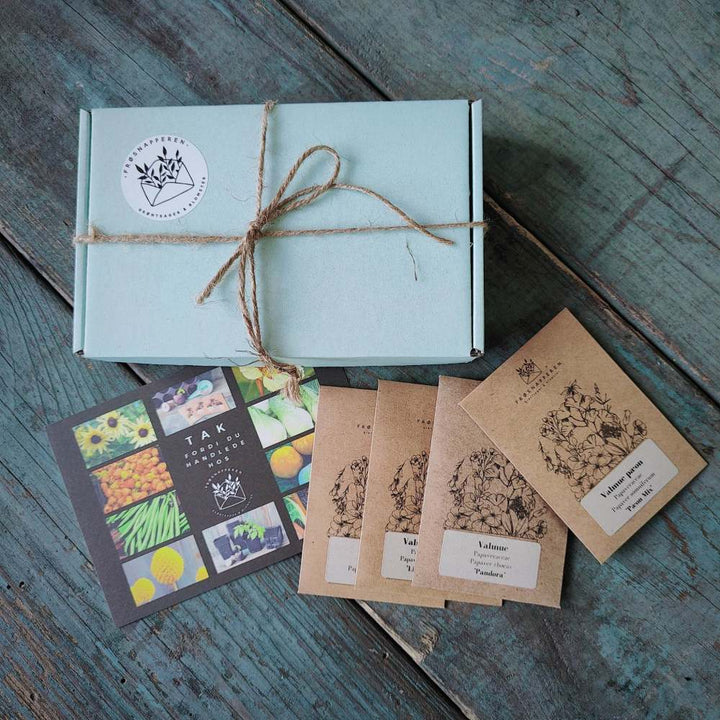 Gaveæske til frø - flere farver - Frøsnapperen.dk