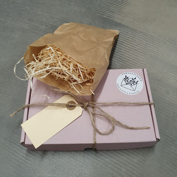 Gaveæske til frø - flere farver - Frøsnapperen.dk