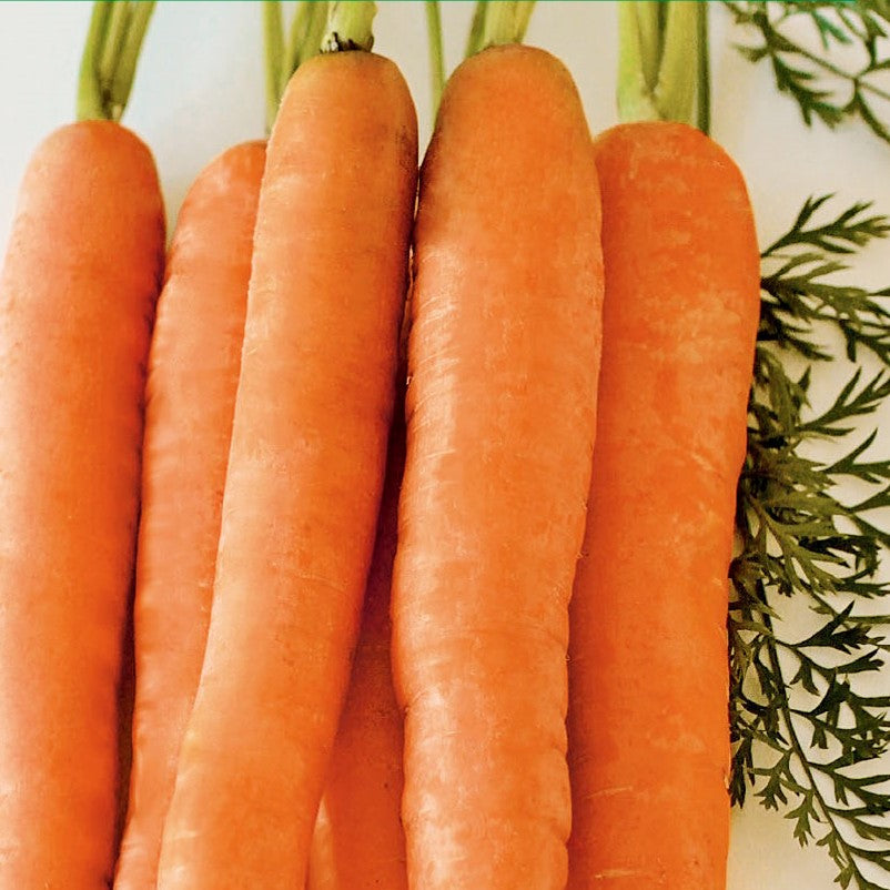 Gulerod 'Nantes 2' - Frøsnapperen.dk