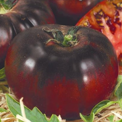 Tomat 'Black Prince' - Frøsnapperen.dk