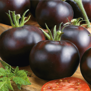 Tomat 'Blackball' - Frøsnapperen.dk