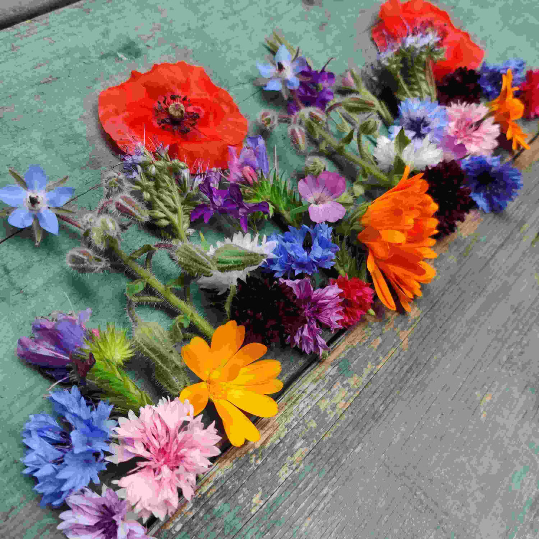 Blomstermix 'Engblanding til lerjord' (7-8 m2) - Frøsnapperen.dk