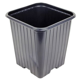 Firkantet plasticpotte - 9x9x9,5 cm - 10 stk. - Frøsnapperen.dk