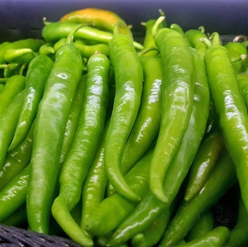 Chili 'Dolce Di Bergamo' - Frøsnapperen.dk