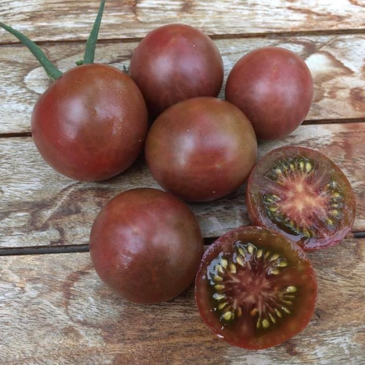 Tomat 'Black Cherry' - Frøsnapperen.dk