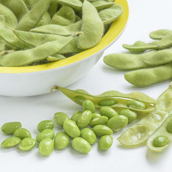 Bønne, Edamame- 'Green Shell' - Frøsnapperen.dk