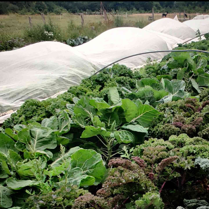 Fiberdug (17 g/m²) - flere størrelser - Frøsnapperen.dk