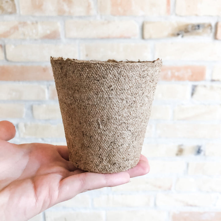 Tørvefri fiberpotter - 6 cm - Frøsnapperen.dk