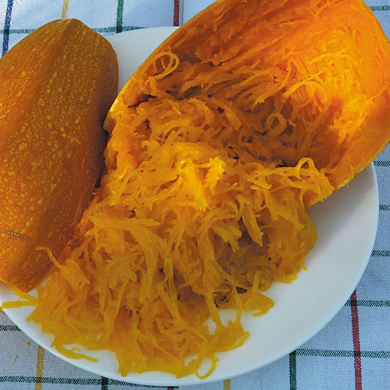 Græskar 'Spaghettisquash' - Frøsnapperen.dk