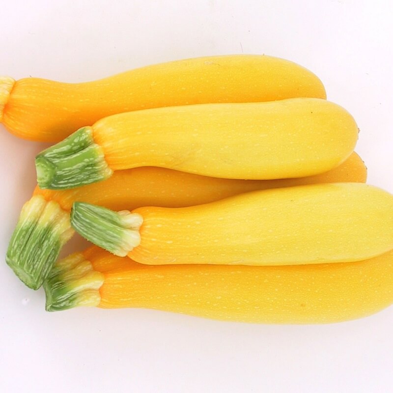 Squash 'Goldrush F1' - Frøsnapperen.dk