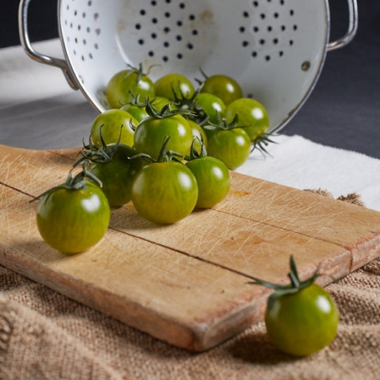 Tomat 'Sungreen F1' - Frøsnapperen.dk