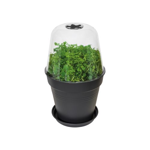 Green Basics drivhuslåg - 17 cm