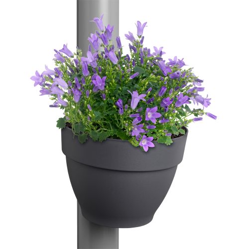 Potte til nedløbsrør - monteret og med blomst