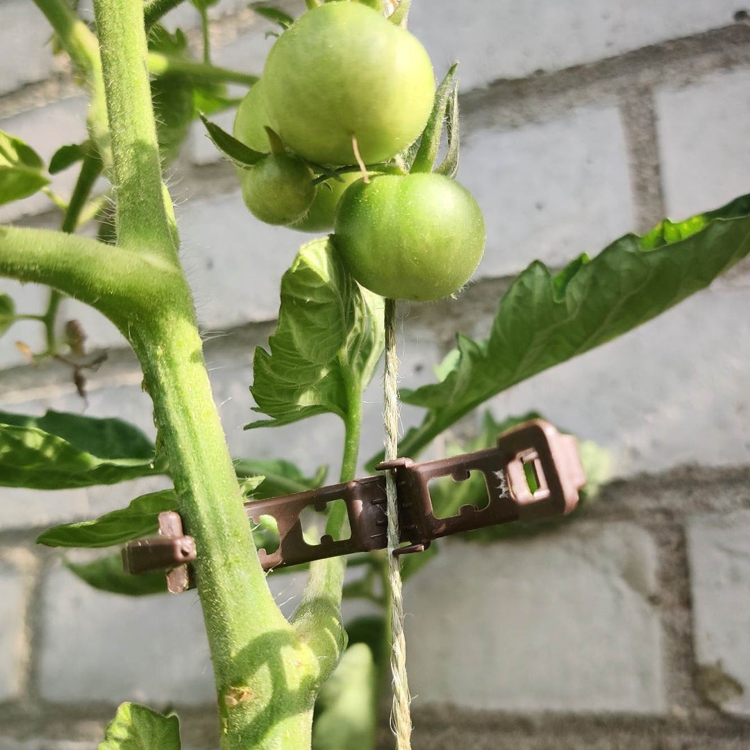 Tomatclips bionedbrydelige