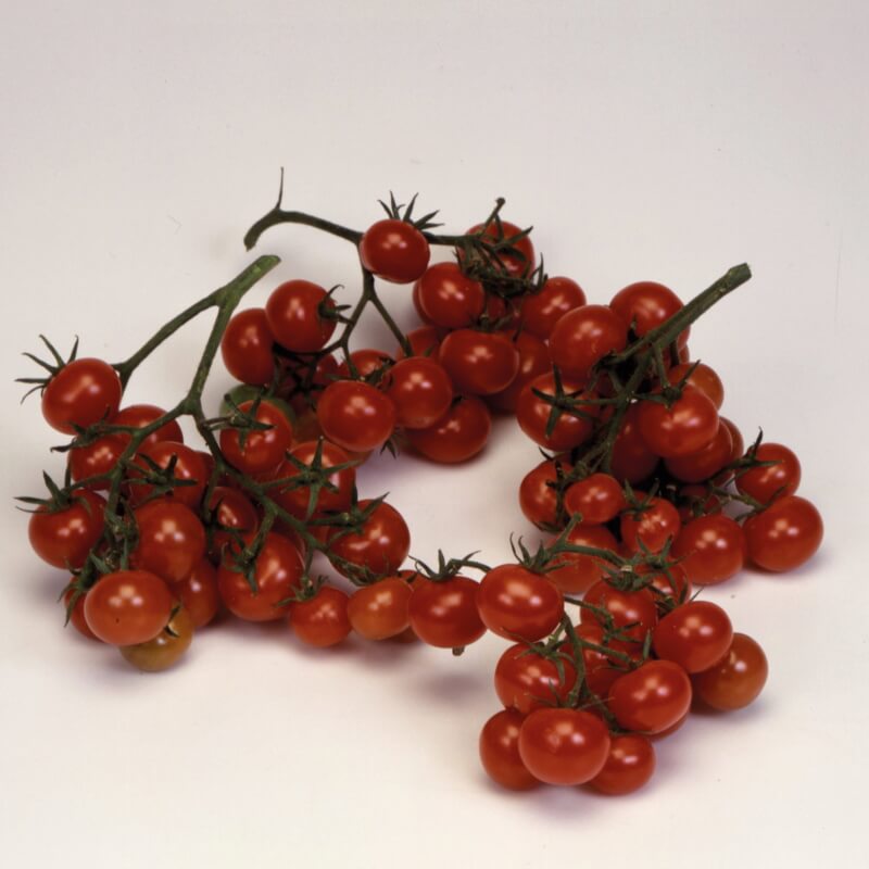 Cherrytomaten 'Christmas Grapes'